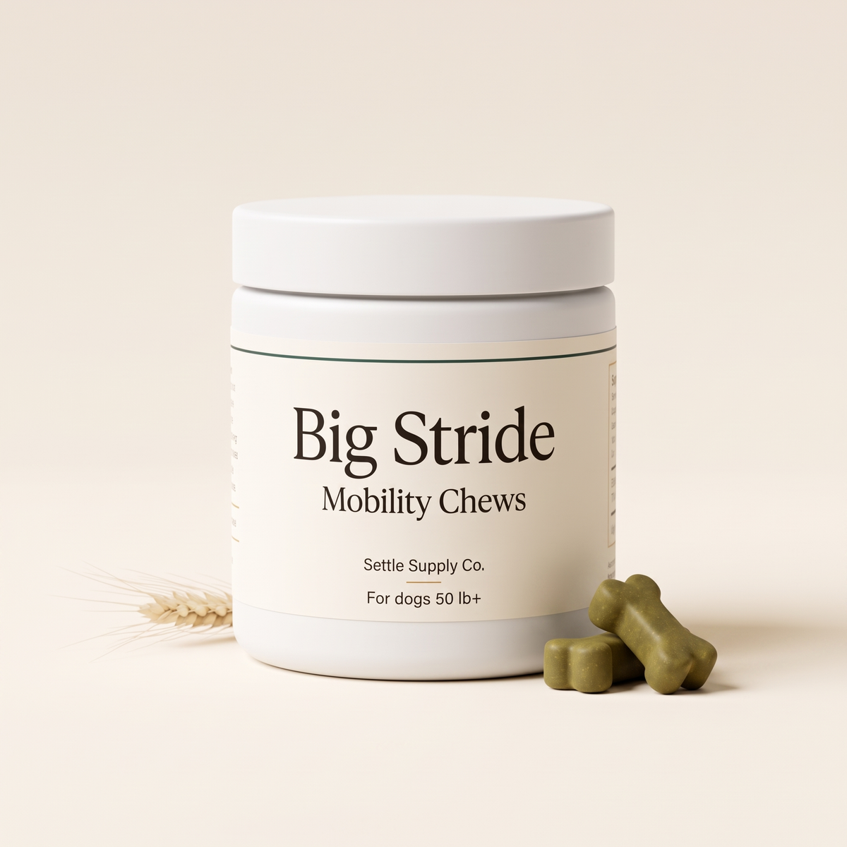 Big Stride Mobility Chews — hero product jar
