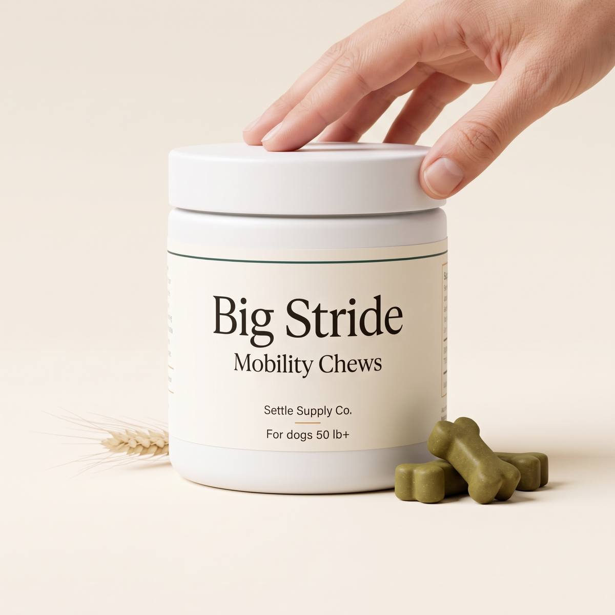 Big Stride Mobility Chews — in hand for scale